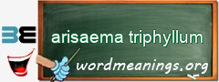 WordMeaning blackboard for arisaema triphyllum